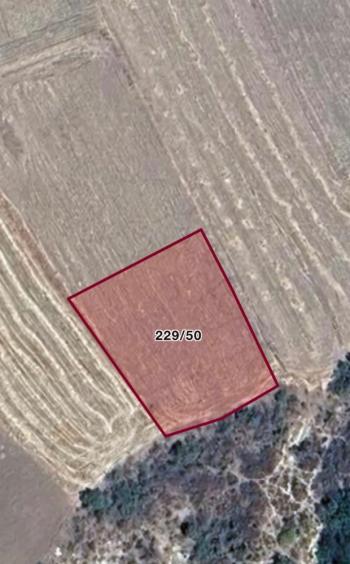 GÜVENAY - ÇORUM  BARAJ ÜST TARAFINDA TEK TAPULU SATILIK BAĞ 