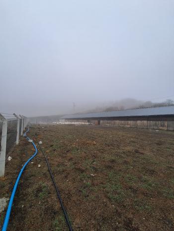 ÇORUM İSKİLİP YOLUNDA SATILIK HEM BESİ HEM SÜT İÇİN 458 BAŞLIK ÇİFTLİK