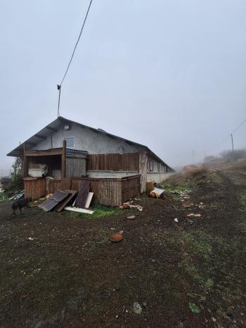 ÇORUM İSKİLİP YOLUNDA SATILIK HEM BESİ HEM SÜT İÇİN 458 BAŞLIK ÇİFTLİK