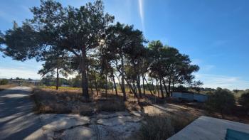 KKTC GİRNE ÇAMLIBEL'DE TİCARİ İZİNLİ 25 DÖNÜM ARSA