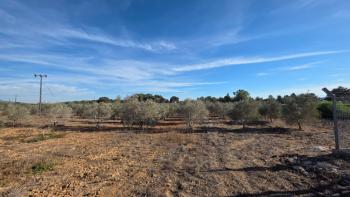 KKTC GİRNE ÇAMLIBEL'DE TİCARİ İZİNLİ 25 DÖNÜM ARSA