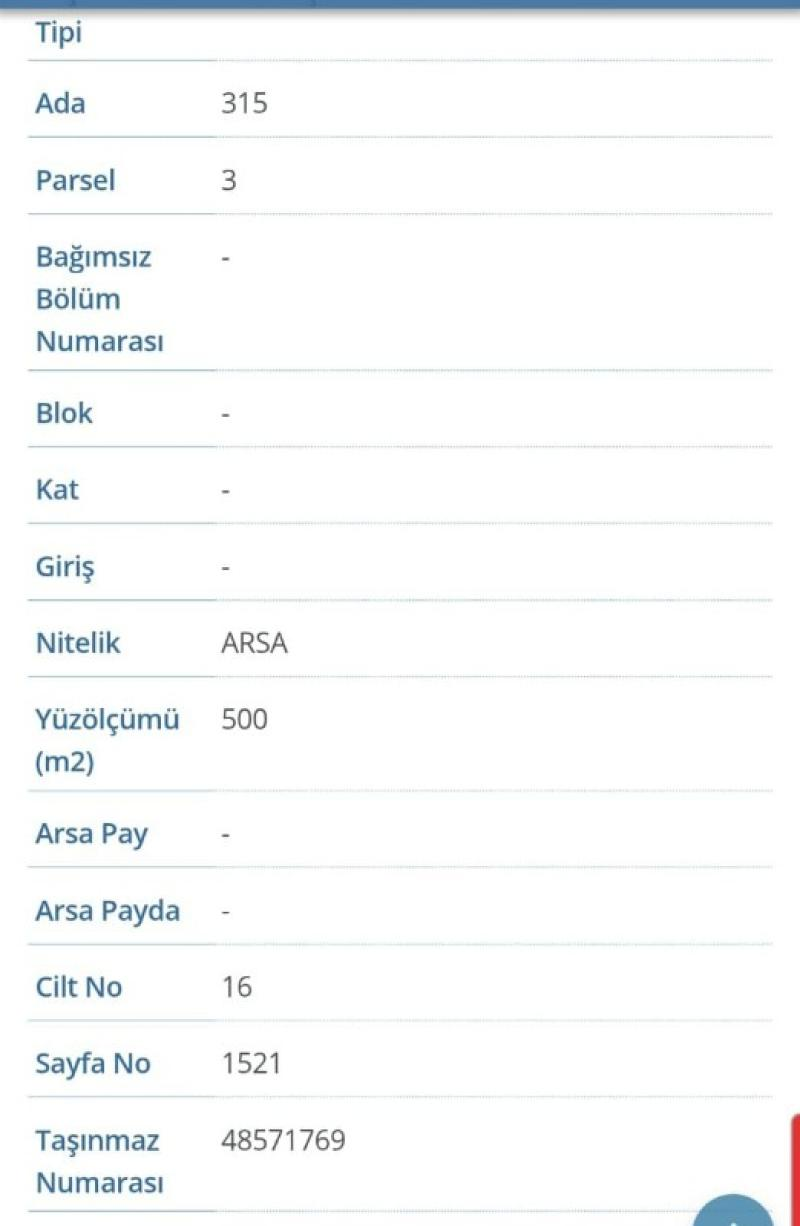 ÇINARLI KÖYÜNDE  (CİNARA)DA  2 DÖNÜM SATILIK   VERİMLİ TARLA 