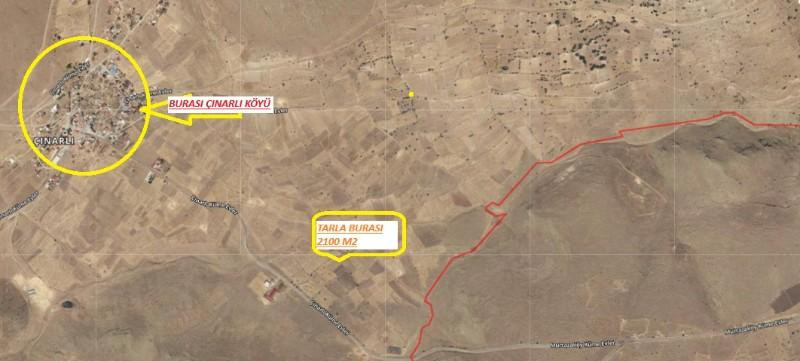 ÇINARLI KÖYÜNDE  (CİNARA)DA  2 DÖNÜM SATILIK   VERİMLİ TARLA 