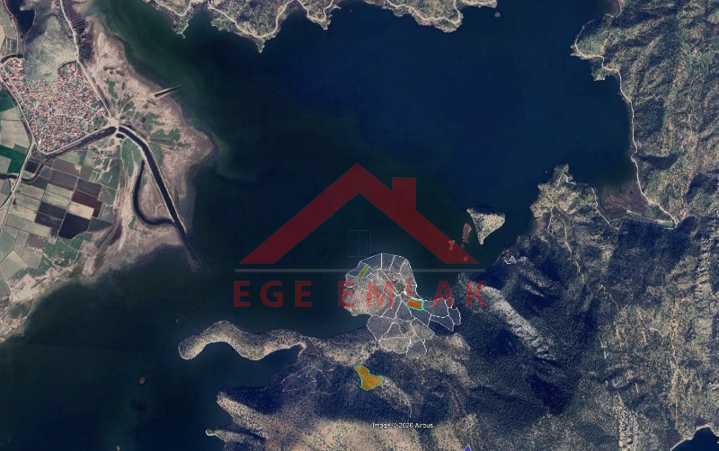 Bafa Gölünde Satılık Zeytinlik