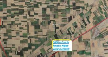 NİĞDE EDİKLİDE  NİĞDE KAYSERİ ASFALTINA CEPHELİ SAT  5600 M2 TARLA