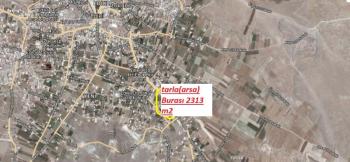 NİĞDE EDİKLİDE  NİĞDE KAYSERİ ASFALTINA CEPHELİ SAT  5600 M2 TARLA