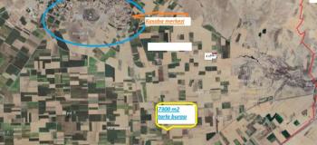 NİĞDE EDİKLİDE  NİĞDE KAYSERİ ASFALTINA CEPHELİ SAT  5600 M2 TARLA