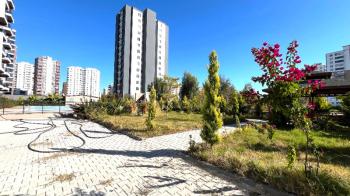 Elmas’tan Tece Deniz Mah.’de Site İçi Havuzlu 1+1