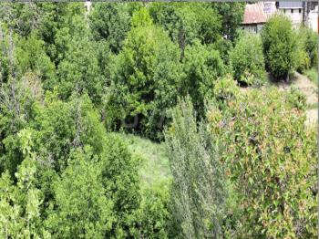 ELAZIĞ AĞIN 1 DÖNÜM ARSA TAPU SAHİBİ PERTA EMLAK ÜMİT TAHMAZ