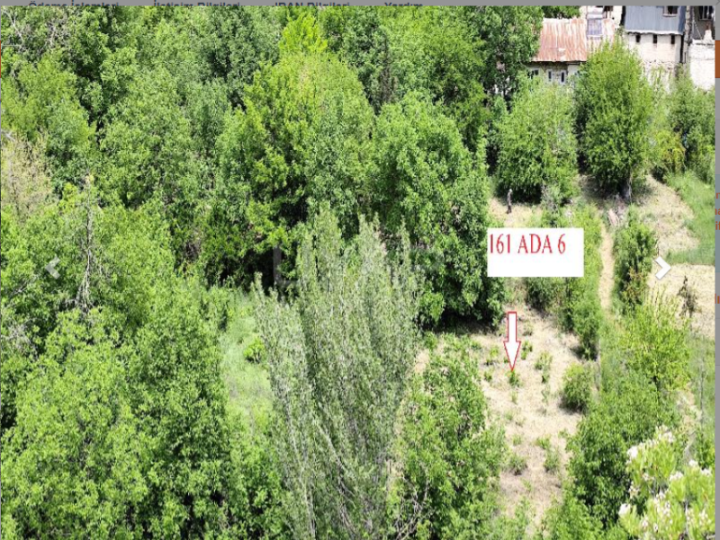 ELAZIĞ AĞIN 1 DÖNÜM ARSA TAPU SAHİBİ PERTA EMLAK ÜMİT TAHMAZ