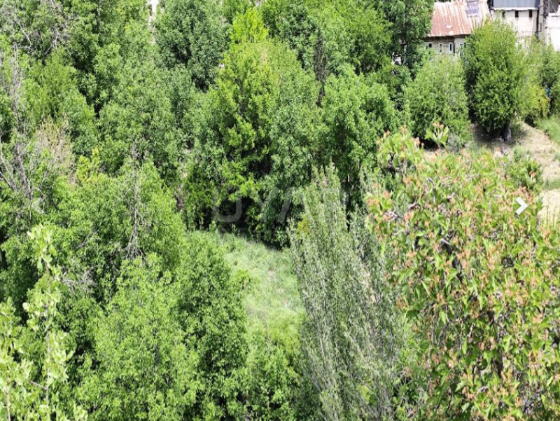 ELAZIĞ AĞIN 1 DÖNÜM ARSA TAPU SAHİBİ PERTA EMLAK ÜMİT TAHMAZ