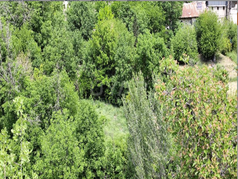 ELAZIĞ AĞIN 1 DÖNÜM ARSA TAPU SAHİBİ PERTA EMLAK ÜMİT TAHMAZ