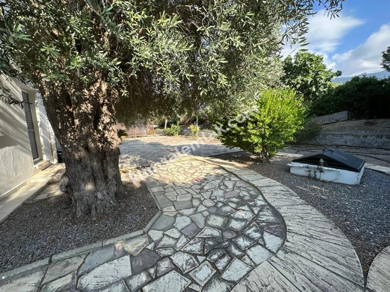 Girne Ozanköyde Dağ Deniz Manzaralı 5+1 Satılık Müstakil Villa