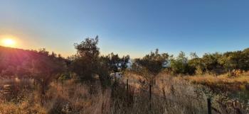 DijitalEmlak’tan İznik Göllüce’de Satılık 590 m2 içinde 70 m2 Bağ evi - Hobi Bahçesi