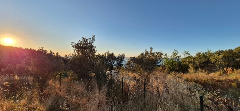 DijitalEmlak’tan İznik Göllüce’de Satılık 590 m2 içinde 70 m2 Bağ evi - Hobi Bahçesi