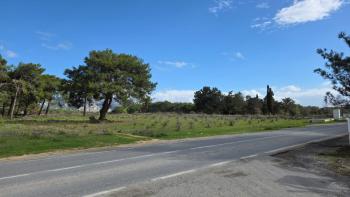 KKTC GİRNE ÇAMLIBEL'DE TİCARİ İZİNLİ 25 DÖNÜM ARSA