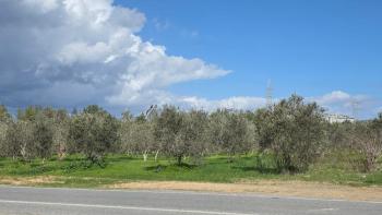 KKTC GİRNE ÇAMLIBEL'DE TİCARİ İZİNLİ 25 DÖNÜM ARSA