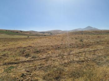 Niğde Elmalıda  Çamardı yoluna cepheli 32  dönüm satılık tarla