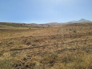 Niğde Elmalıda  Çamardı yoluna cepheli 32  dönüm satılık tarla