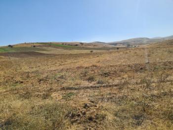 Niğde Elmalıda  Çamardı yoluna cepheli 32  dönüm satılık tarla