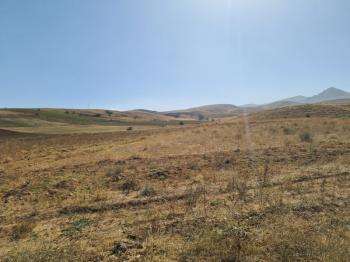 Niğde Elmalıda  Çamardı yoluna cepheli 32  dönüm satılık tarla