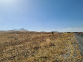 Niğde Elmalıda  Çamardı yoluna cepheli 32  dönüm satılık tarla