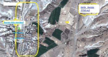 ÇİFTLİK  MELENDİZ   Bozköyde 7.5  DÖNÜM  satılık  verimli   tarla 