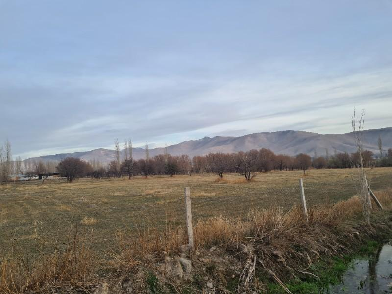 NİĞDE SARIKÖPRÜDE İMARA  YAKIN   SATILIK  HİSSELİ TARLA 