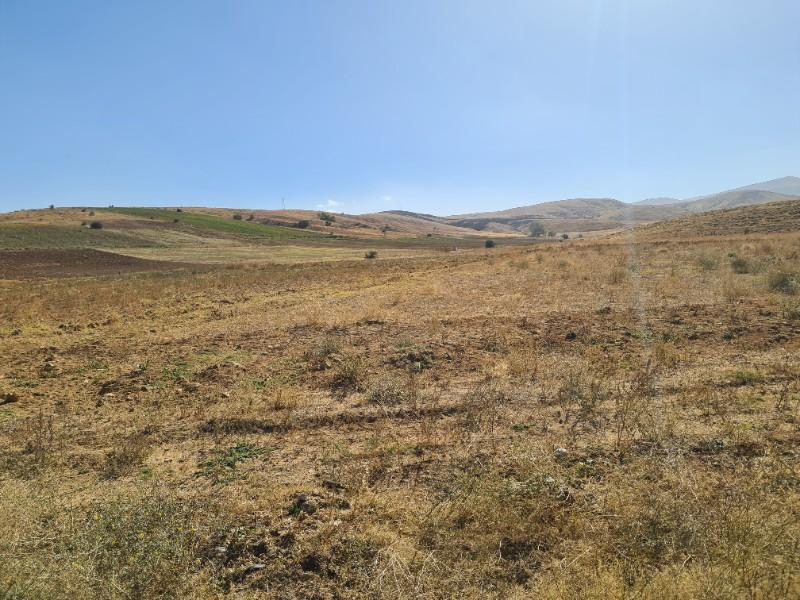 Niğde Elmalıda  Çamardı yoluna cepheli 32  dönüm satılık tarla