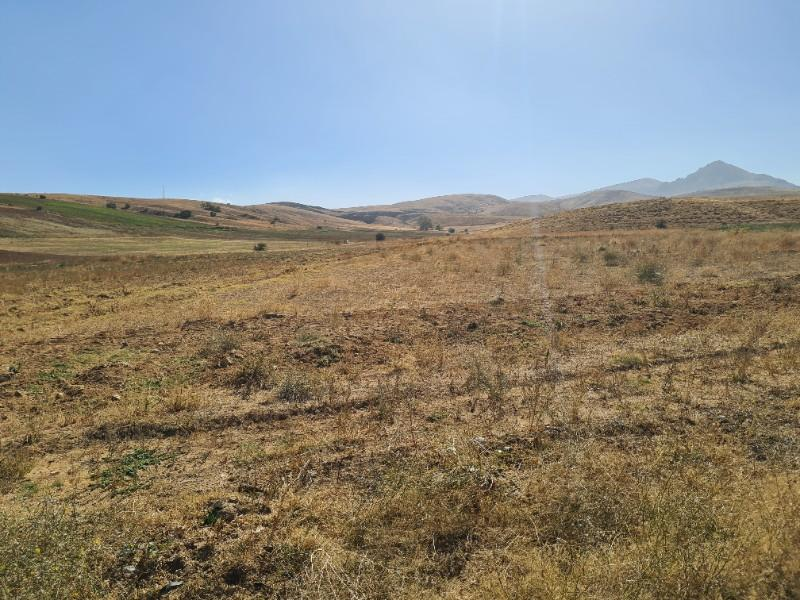 Niğde Elmalıda  Çamardı yoluna cepheli 32  dönüm satılık tarla