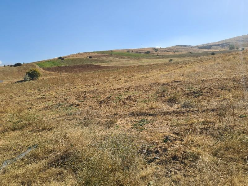 Niğde Elmalıda  Çamardı yoluna cepheli 32  dönüm satılık tarla