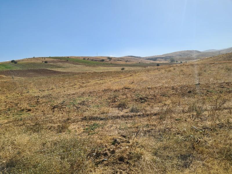 Niğde Elmalıda  Çamardı yoluna cepheli 32  dönüm satılık tarla