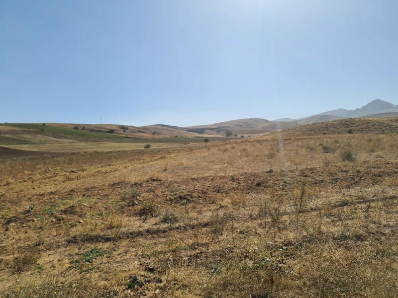 Niğde Elmalıda  Çamardı yoluna cepheli 32  dönüm satılık tarla