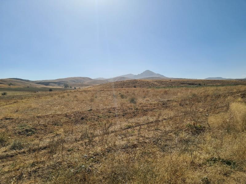 Niğde Elmalıda  Çamardı yoluna cepheli 32  dönüm satılık tarla