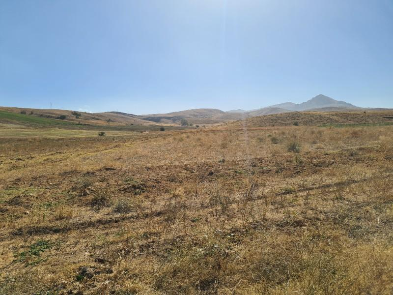 Niğde Elmalıda  Çamardı yoluna cepheli 32  dönüm satılık tarla