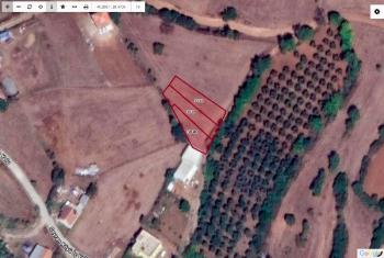 DijitalEmlak’tan Karacabey Seyranda Satılık Konut İmarlı köyiçi Arsalar. 