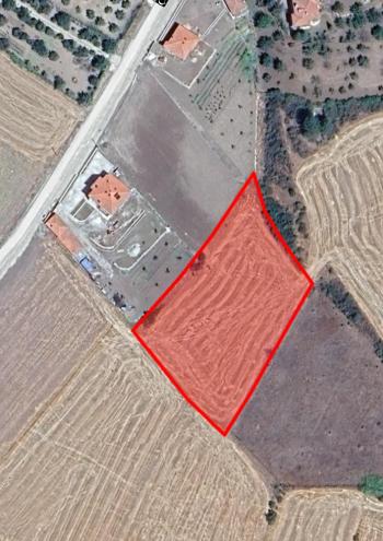Güvenay - Çorum Ted İlerisi Büğet Yolu 23 Dönüm Satılık Tarla 