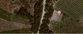 MUDANYA, İPEKYAYKA-YAYLACIK YOLU ÜZERİNDE YOLU OLAN 165 M2 M2 SATILIK ORMANA CEPHE TARLA