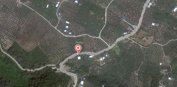 MUDANYA, ÇEPNİ YOLU ÜZERİNDE ASFALTA CEPHE 155 m2 SATILIK ZEYTİNLİK