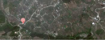 MUDANYA, ÇEPNİ YOLU ÜZERİNDE ASFALTA CEPHE 155 m2 SATILIK ZEYTİNLİK