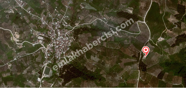 MUDANYA, İPEKYAYKA-YAYLACIK YOLU ÜZERİNDE YOLU OLAN 165 M2 M2 SATILIK ORMANA CEPHE TARLA