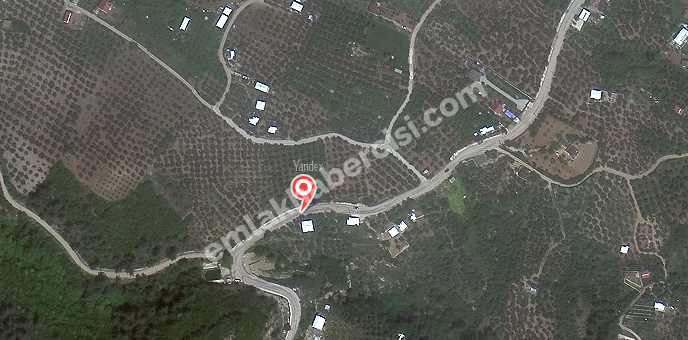 MUDANYA, ÇEPNİ YOLU ÜZERİNDE ASFALTA CEPHE 155 m2 SATILIK ZEYTİNLİK