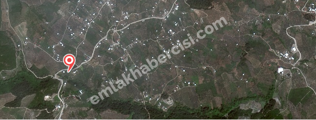 MUDANYA, ÇEPNİ YOLU ÜZERİNDE ASFALTA CEPHE 155 m2 SATILIK ZEYTİNLİK