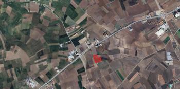 GÜVENAY - ÇORUM KADIKIRI KÖYÜ ANKARA - ÇORUM YOLU İSTİKAMETİ SATILIK TARLA