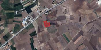 GÜVENAY - ÇORUM KADIKIRI KÖYÜ ANKARA - ÇORUM YOLU İSTİKAMETİ SATILIK TARLA