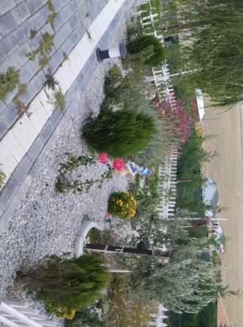 GÜVENAY - ÇORUM MERKEZ PAŞAKÖY EVİ OLAN SATILIK  HOBİ BAHÇESİ