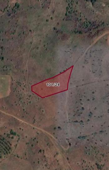 GÜVENAY - ÇORUM MERKEZ  ACIPINAR KÖYÜ 5 ,754 m2 SATILIK TARLA 