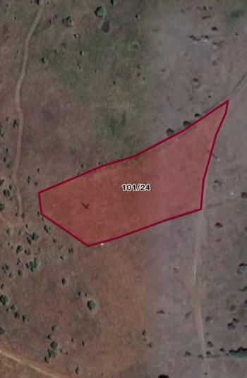 GÜVENAY - ÇORUM MERKEZ  ACIPINAR KÖYÜ 5 ,754 m2 SATILIK TARLA 
