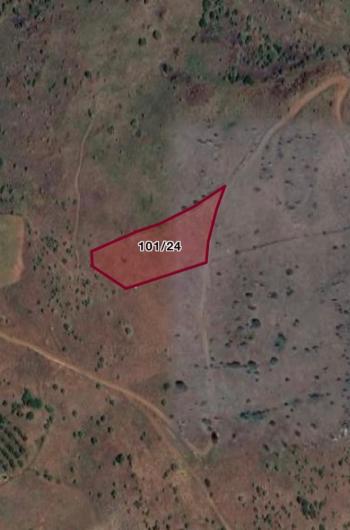 GÜVENAY - ÇORUM MERKEZ  ACIPINAR KÖYÜ 5 ,754 m2 SATILIK TARLA 