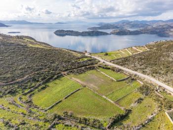 Taşlıca–Söğüt Sınırında 437 m² Müstakil Tapulu, Yola 2. Parsel Satılık Tarla